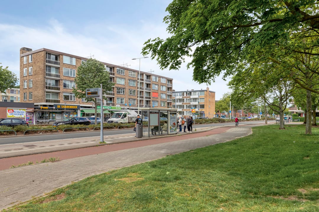 Foto 32 van Molenvliet 117