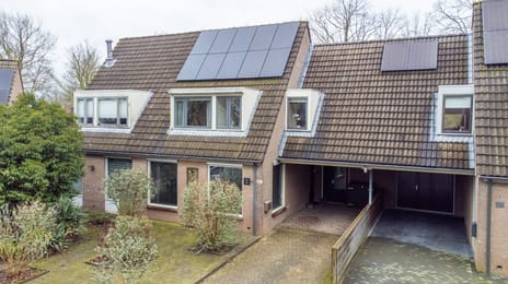 undefined main image