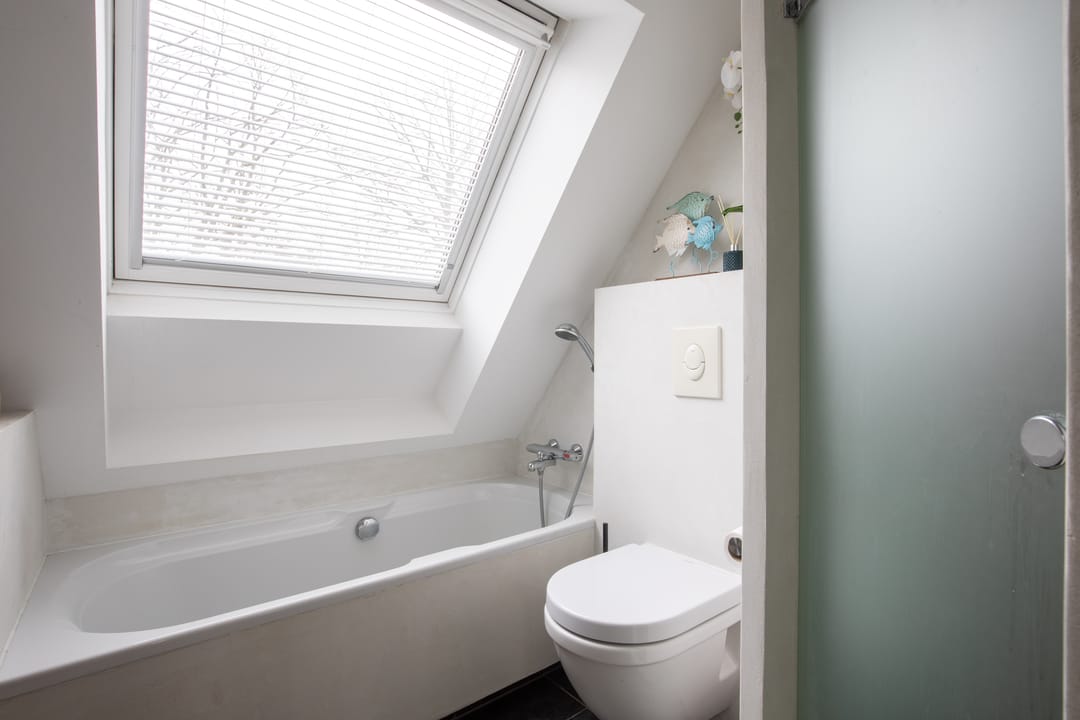 Photo 32 of Zoete Kroon 27