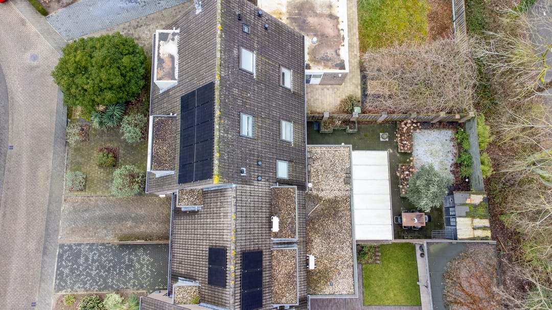 Photo 46 of Zoete Kroon 27