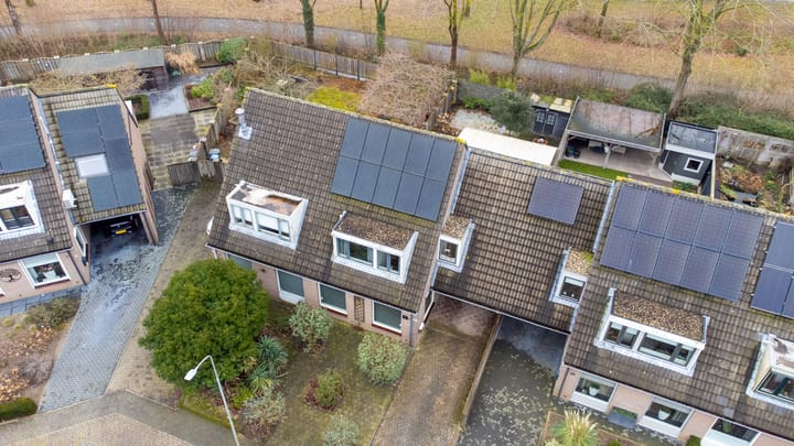 Foto 48 van Zoete Kroon 27