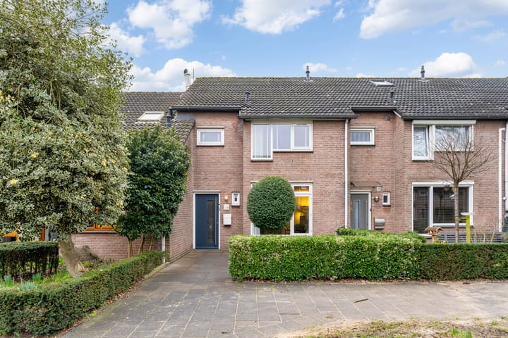 Lokeren 139