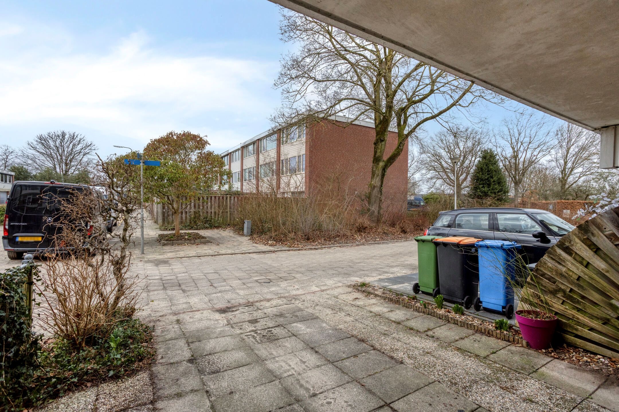 Foto 3 van Kolkrijst 55