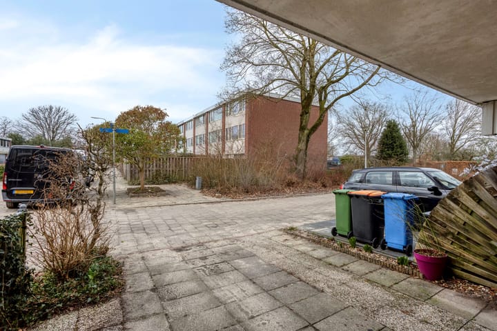 Photo 3 of Kolkrijst 55