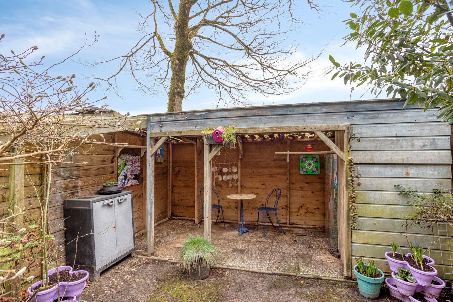 Foto 10 van Kolkrijst 55