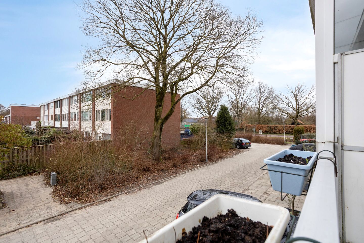 Foto 20 van Kolkrijst 55