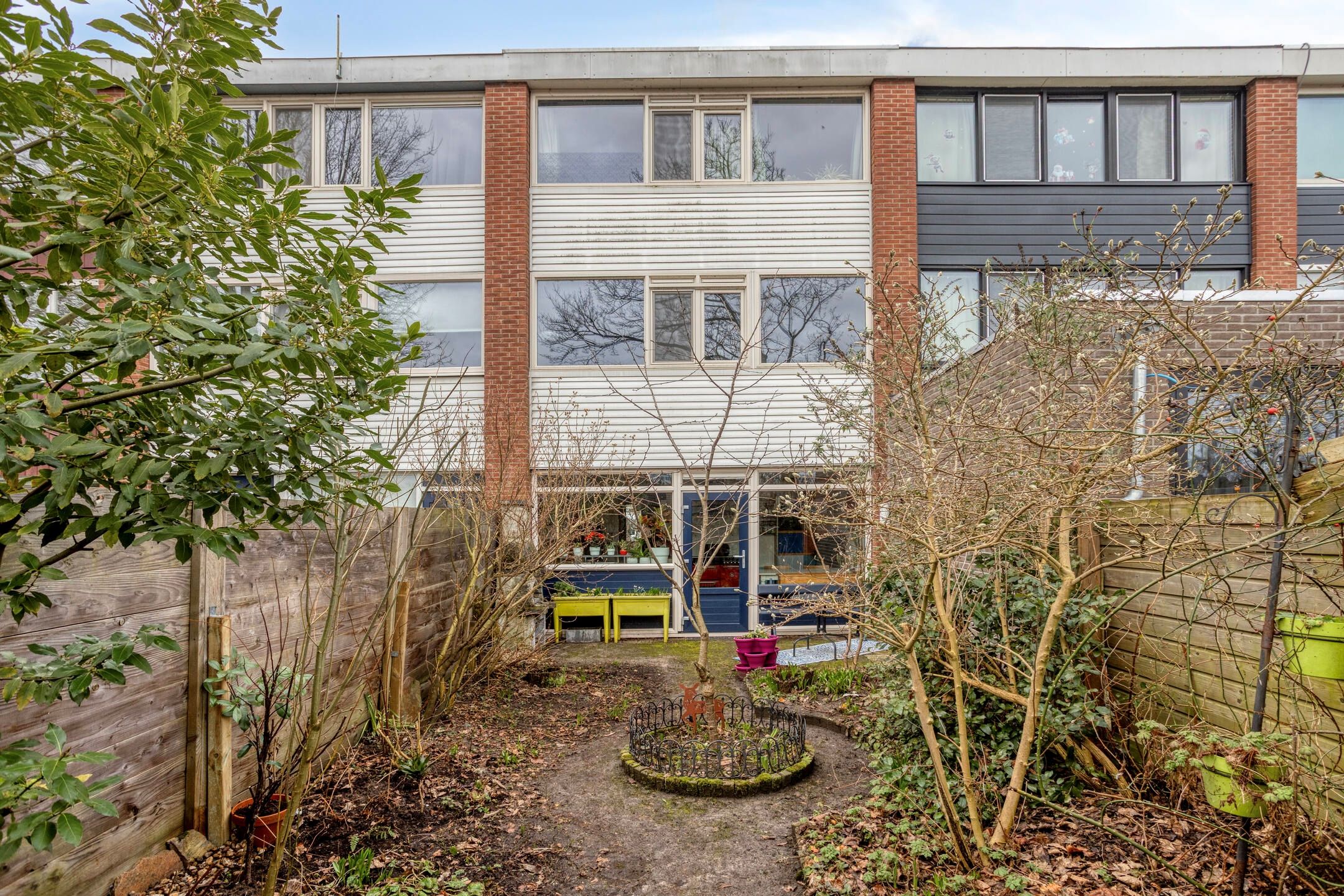 Foto 21 van Kolkrijst 55