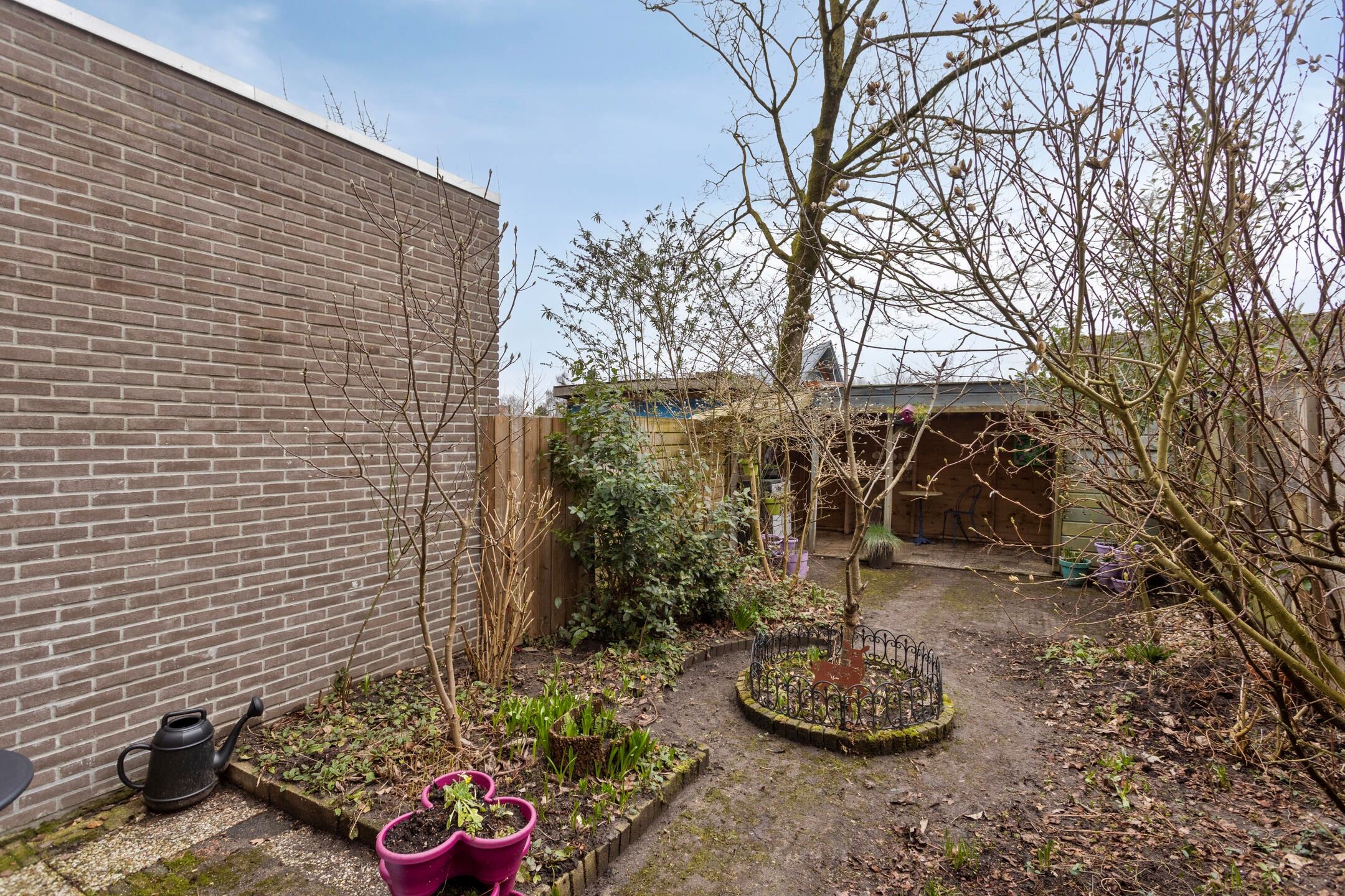 Foto 9 van Kolkrijst 55