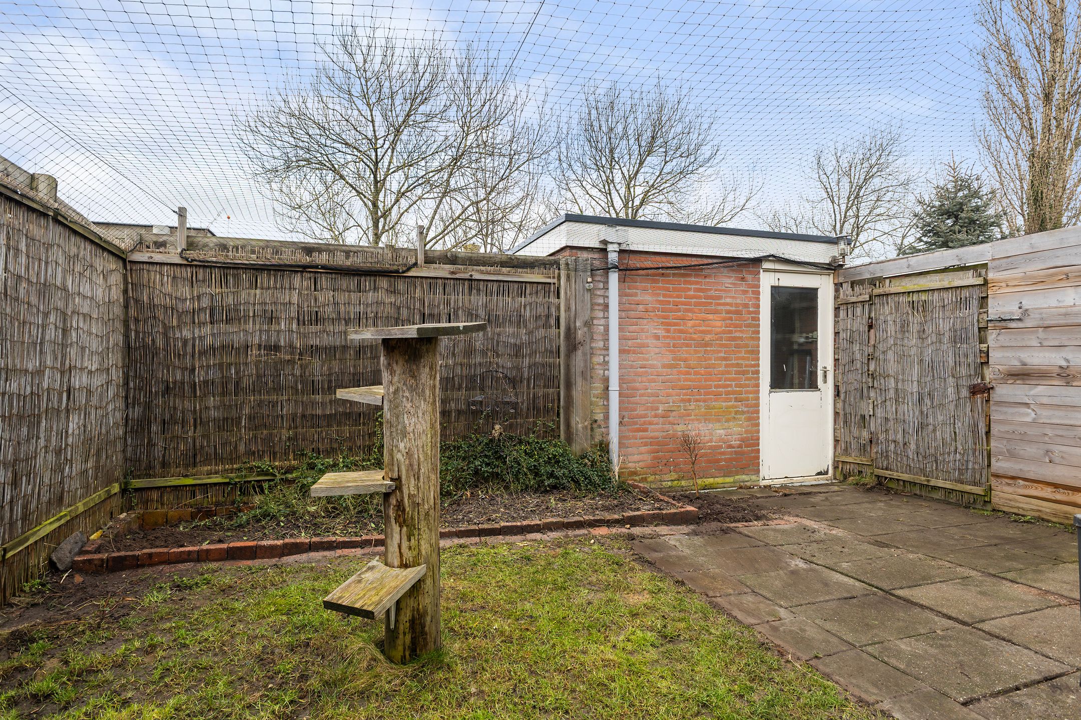 Photo 24 of De Leeuw 61