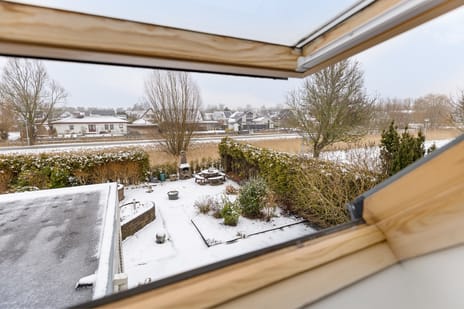 Weegbree 14 secondary image