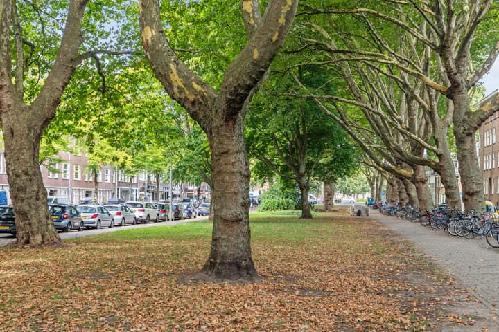 Photo 44 of Willem de Zwijgerlaan 92-1