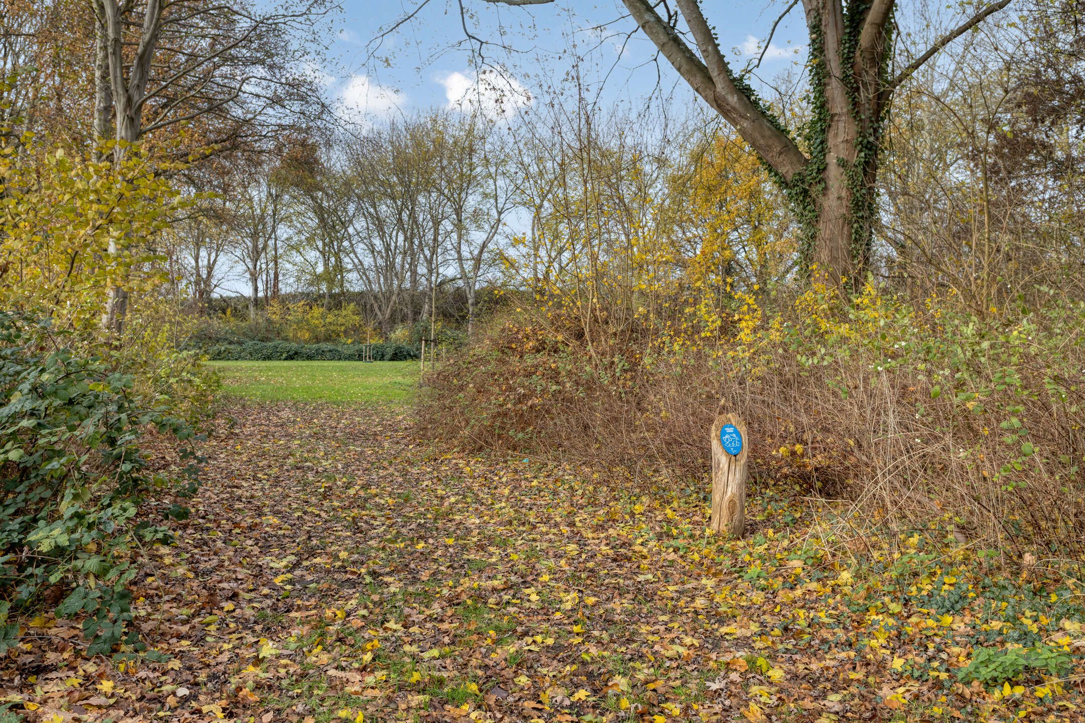 Photo 33 of Mezenlaan 43