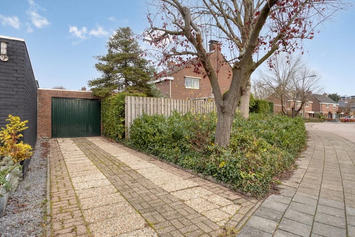 Foto 3 van Mezenlaan 43