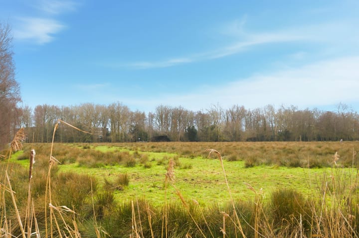 Photo 32 of Du Perronlaan 62