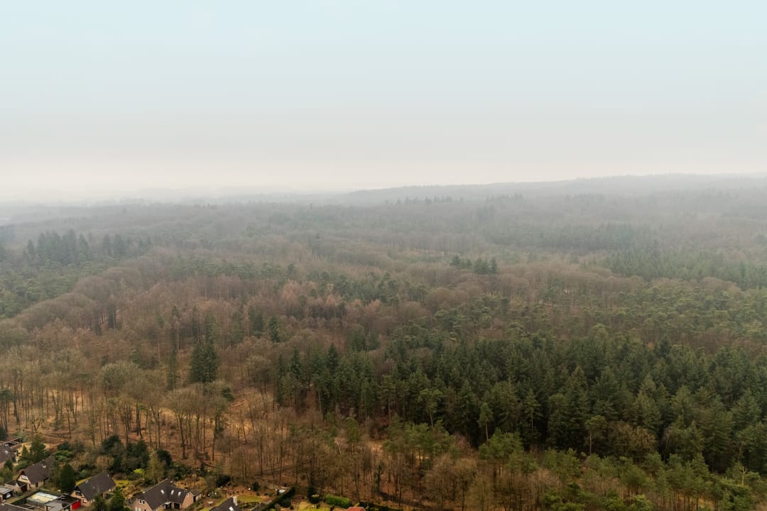 Foto 43 van Willem Keslaan 4