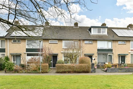 Graaf Willemlaan thumbnail