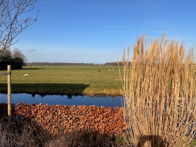 Bekijk foto 3 van Industrieweg 5-h