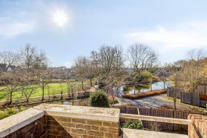 Foto 4 van Sikkelkruid 6