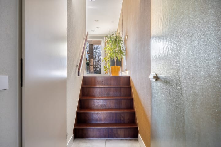 Foto 6 van Sikkelkruid 6