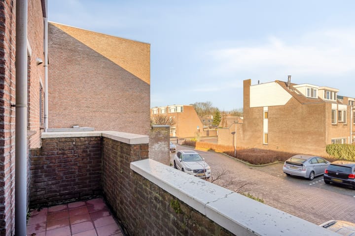 Foto 21 van Sikkelkruid 6