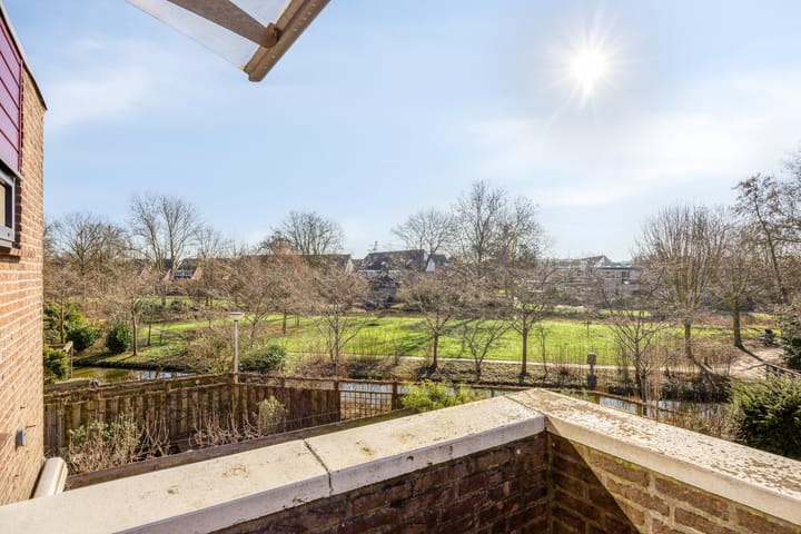 Foto 27 van Sikkelkruid 6