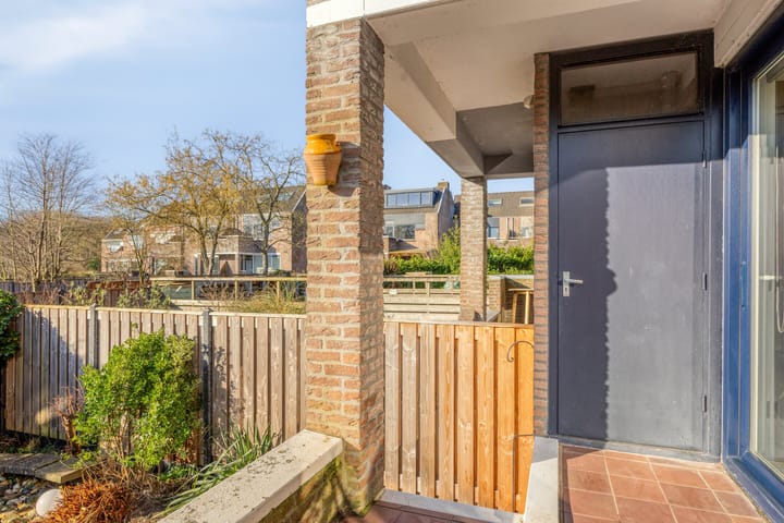 Foto 38 van Sikkelkruid 6