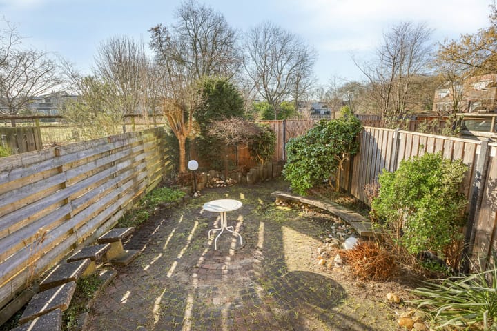 Foto 40 van Sikkelkruid 6