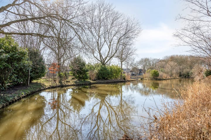 Foto 42 van Sikkelkruid 6