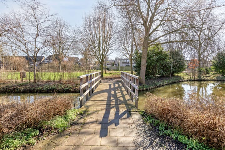 Foto 43 van Sikkelkruid 6