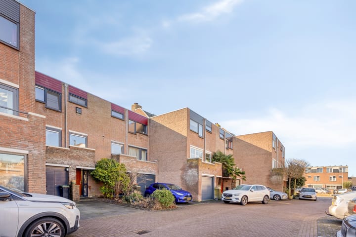 Foto 45 van Sikkelkruid 6