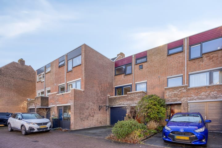 Foto 46 van Sikkelkruid 6