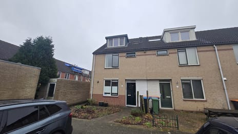 undefined main image