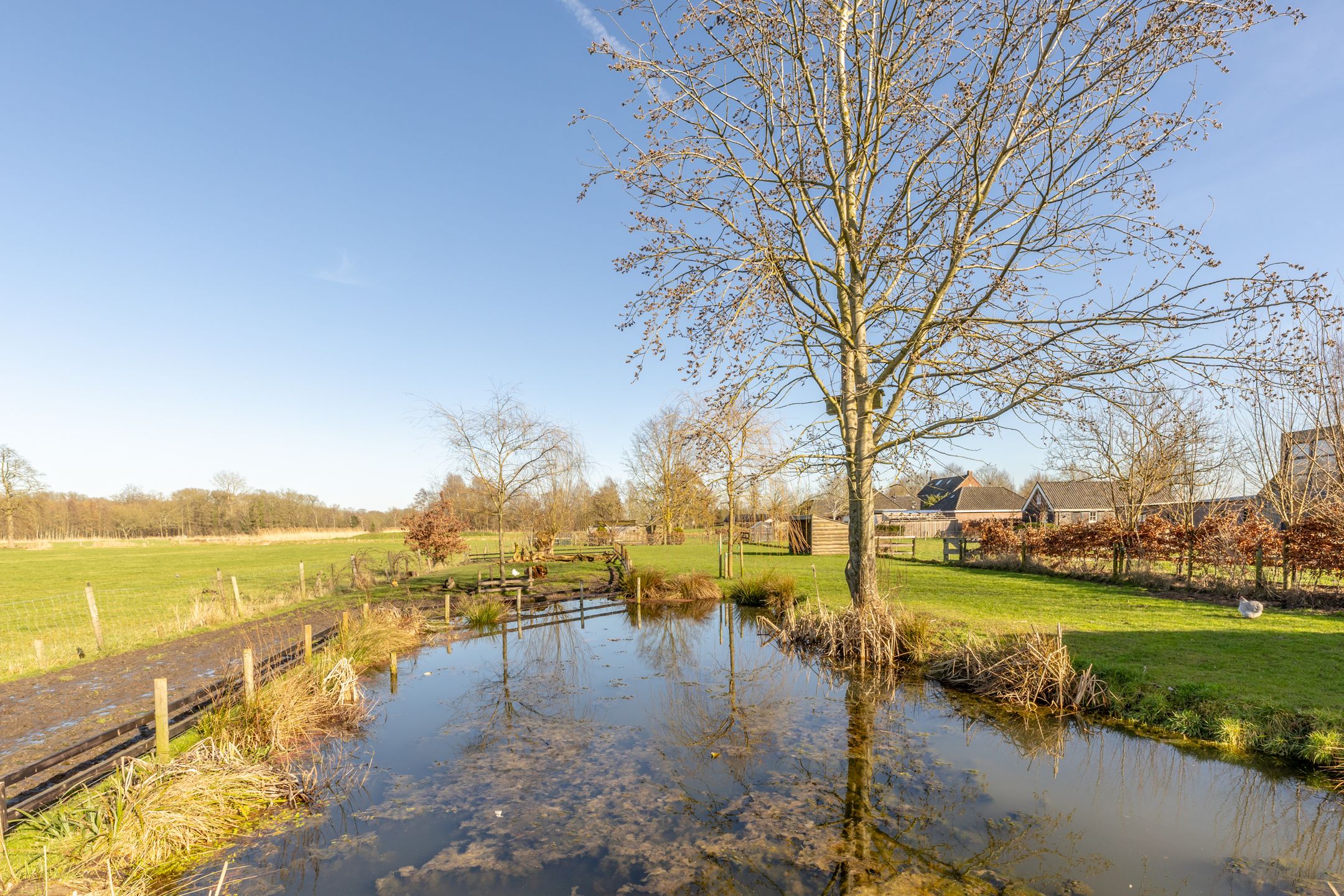 Foto 39 van Udenhoutseweg 25