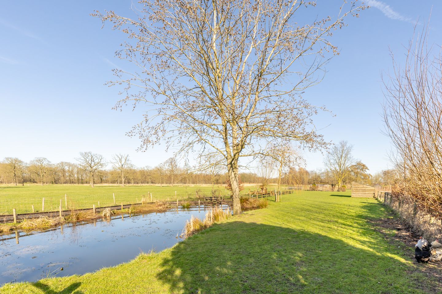 Foto 40 van Udenhoutseweg 25