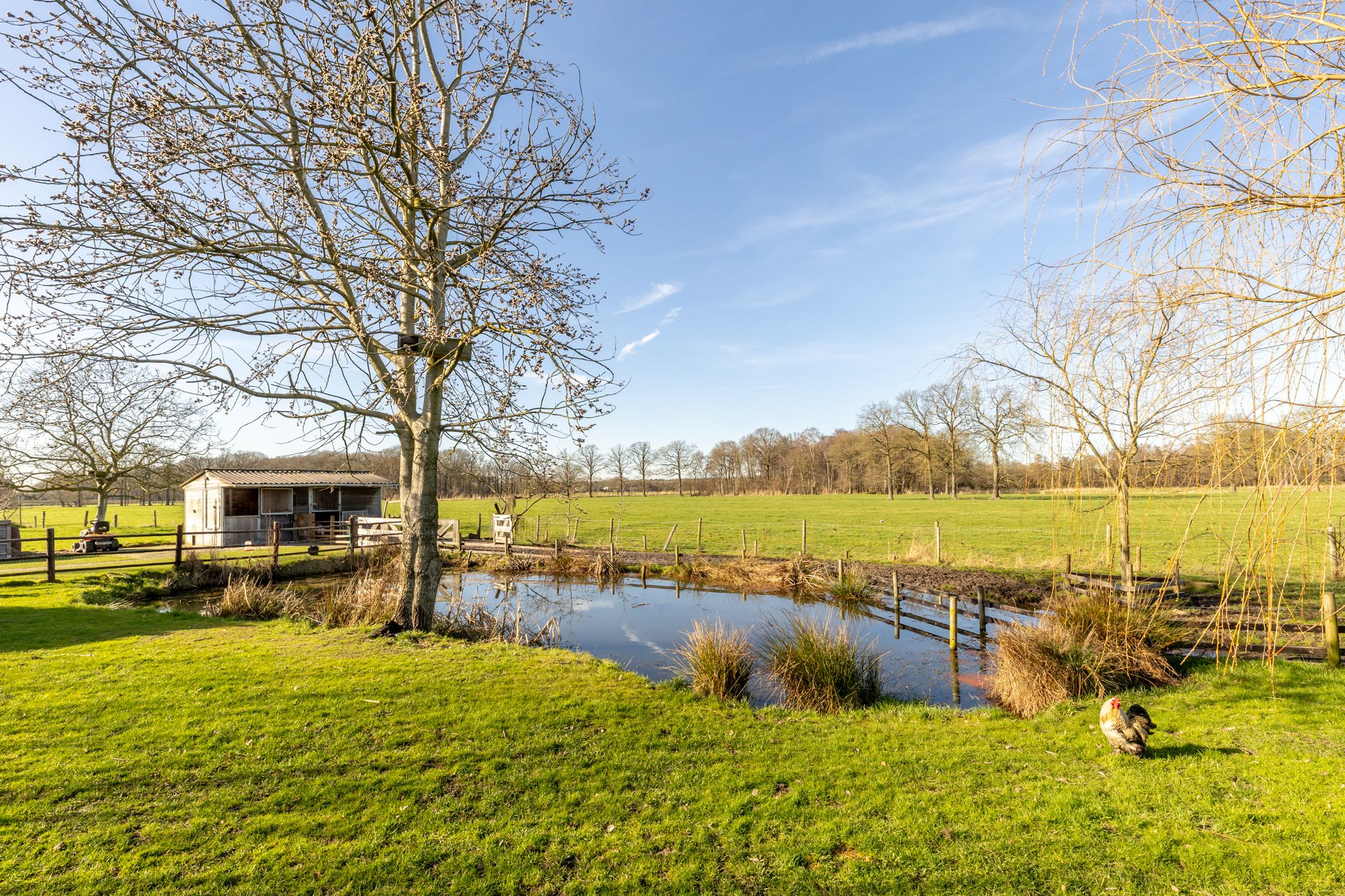 Foto 42 van Udenhoutseweg 25