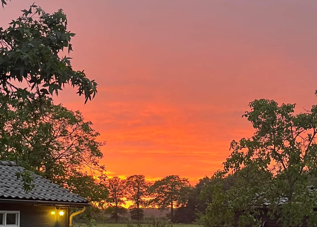 Foto 47 van Udenhoutseweg 25