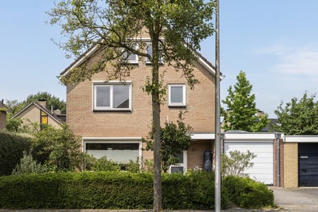 undefined main image