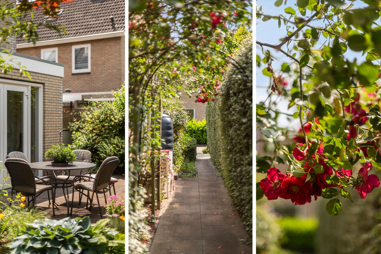 Photo 40 of Potmarge 16