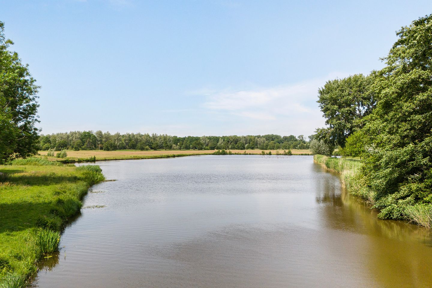 Photo 44 of Potmarge 16