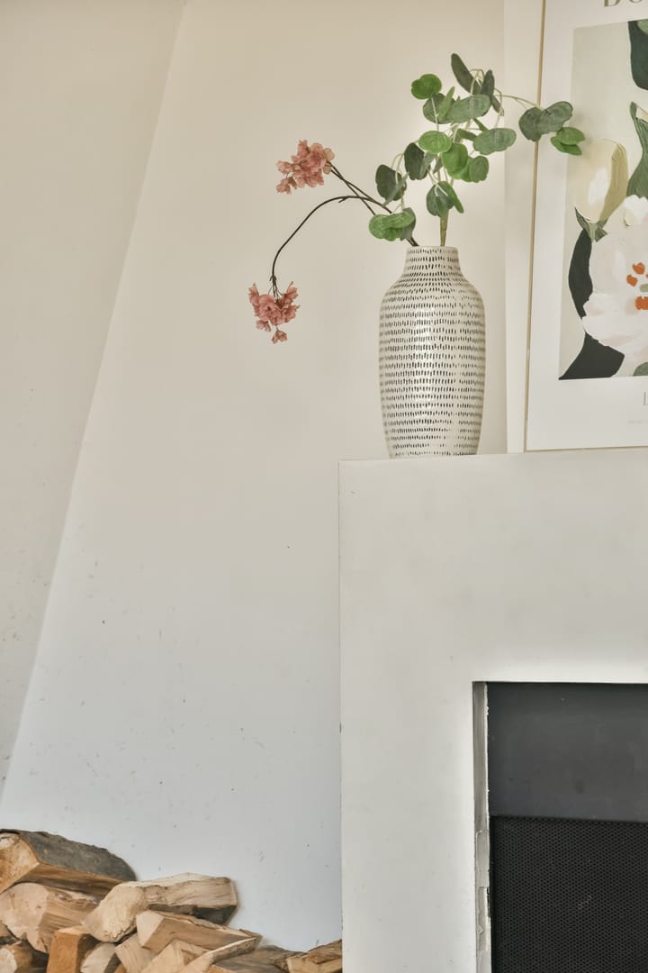 Foto 16 van Tweede Jan Steenstraat 51-4