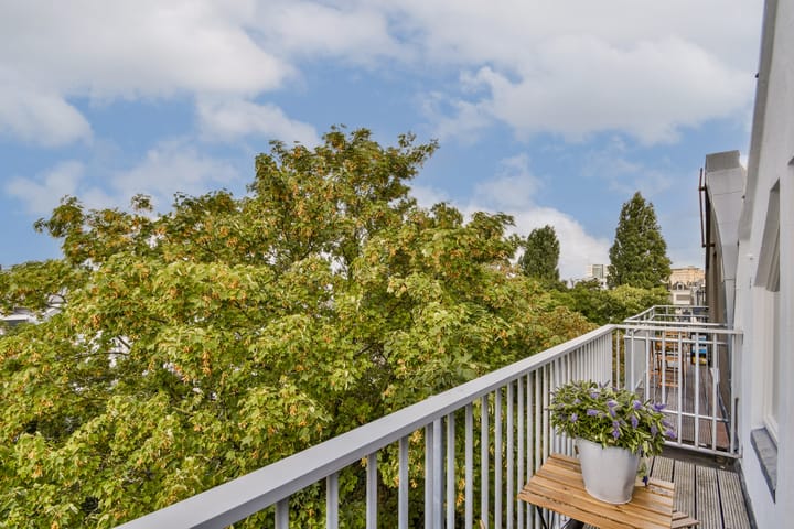 Foto 19 van Tweede Jan Steenstraat 51-4