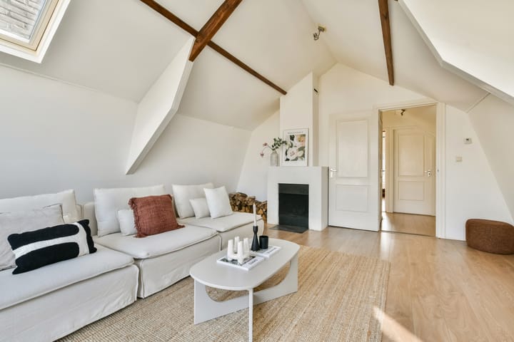 Foto 15 van Tweede Jan Steenstraat 51-4