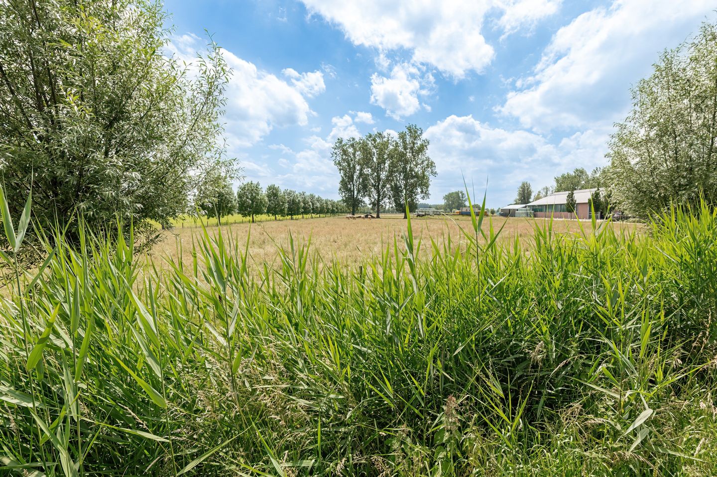 Photo 49 of Heuvelkamp 13