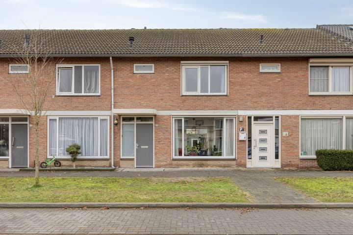 Palmstraat 20