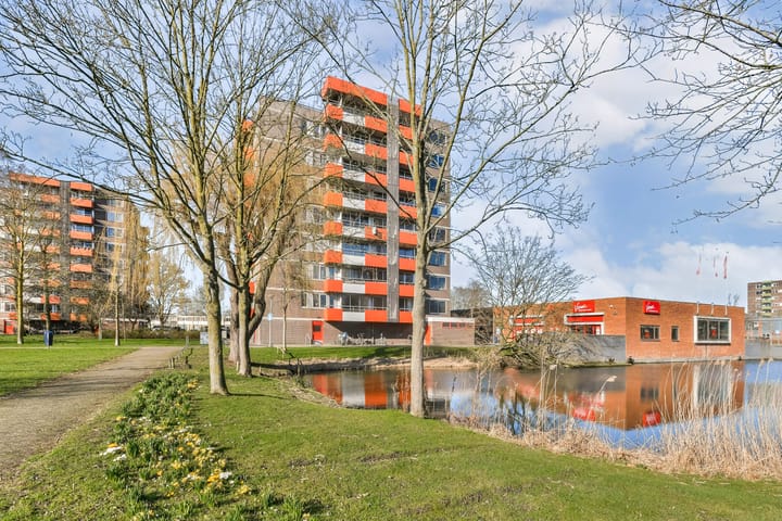 Zilverschoon 12