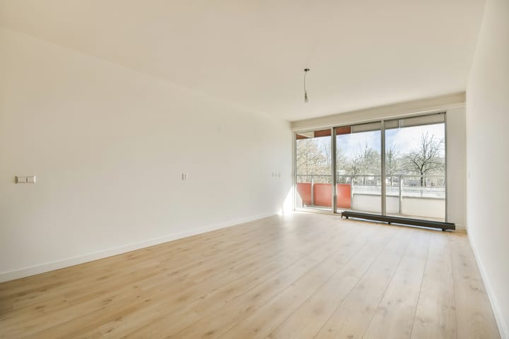 Foto 2 van Zilverschoon 12