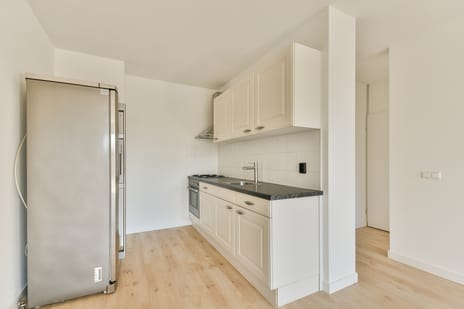 Zilverschoon 12 tertiary image