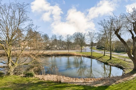 Zilverschoon thumbnail