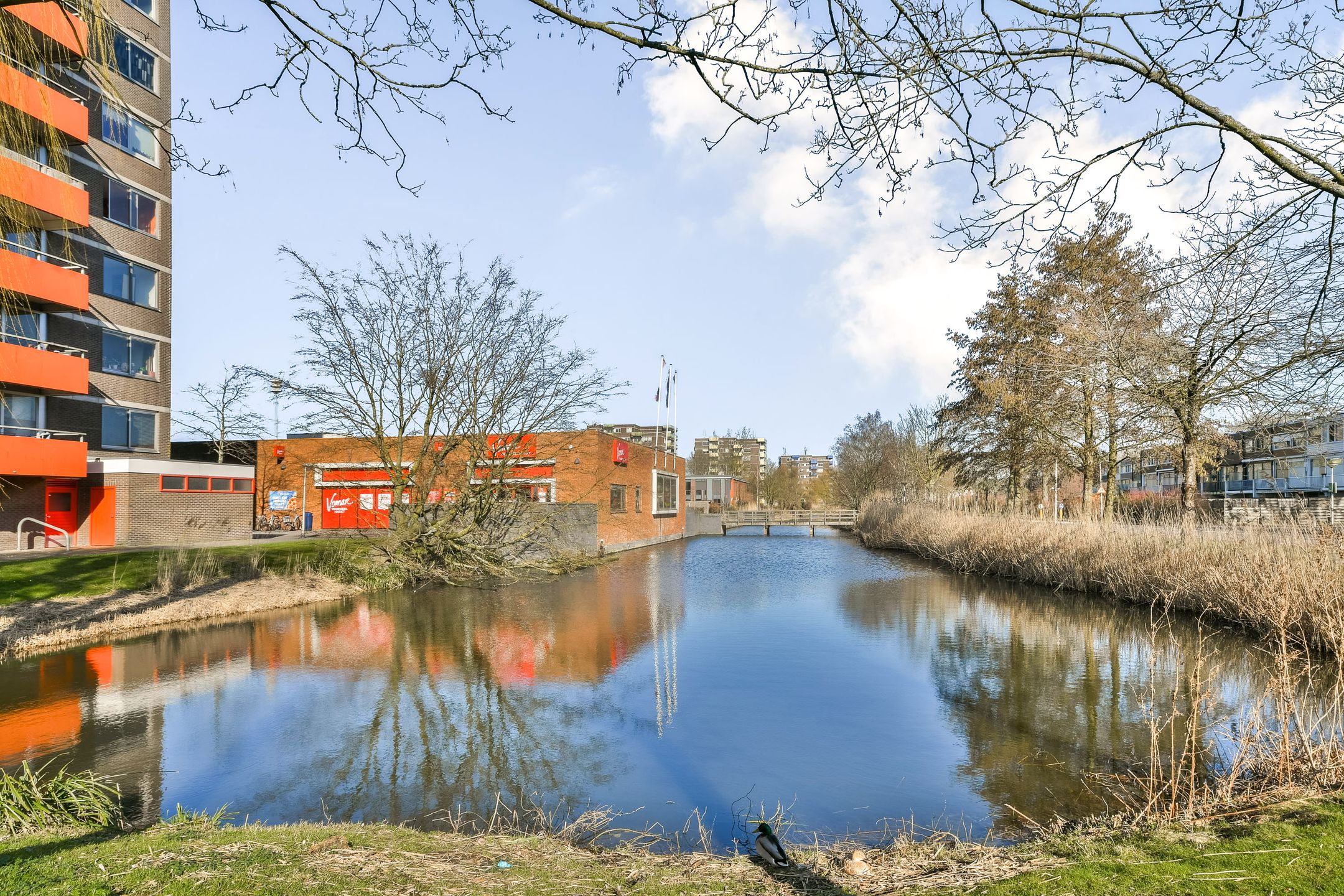 Photo 33 of Zilverschoon 12