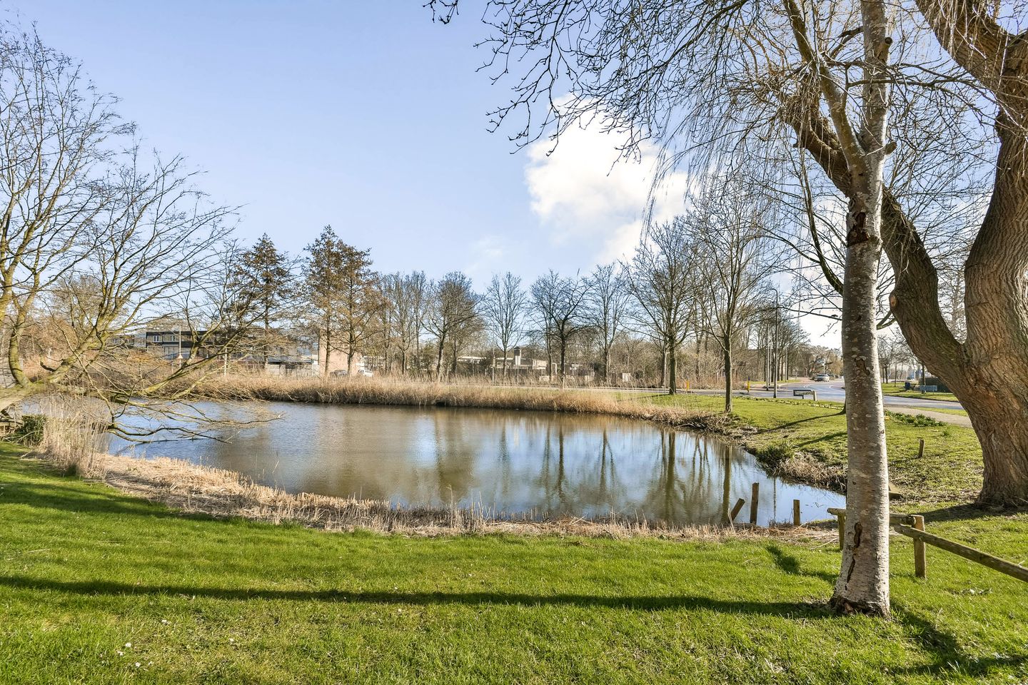 Photo 35 of Zilverschoon 12